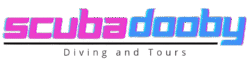 scubadoobytours.com